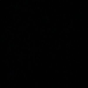 Meet your Posher, Dixsha